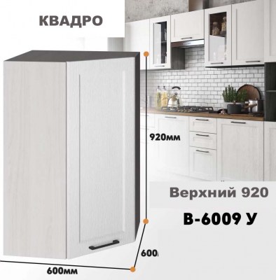 kvadro_v_6009 u_1